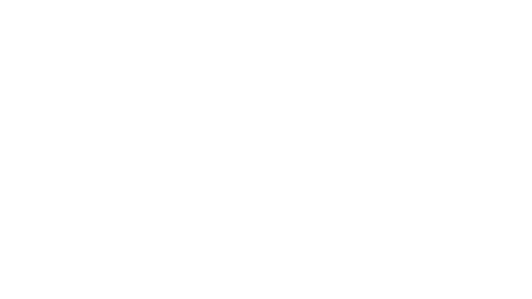 Own the Trail logo
