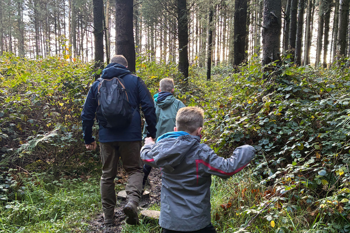 5 Family Woodland Walks Near Bath Perfect for Autumn & Half-Term Adventures